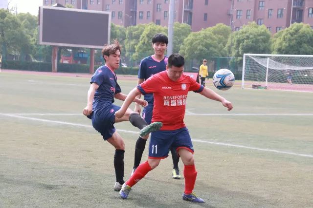ued数据分析展示图